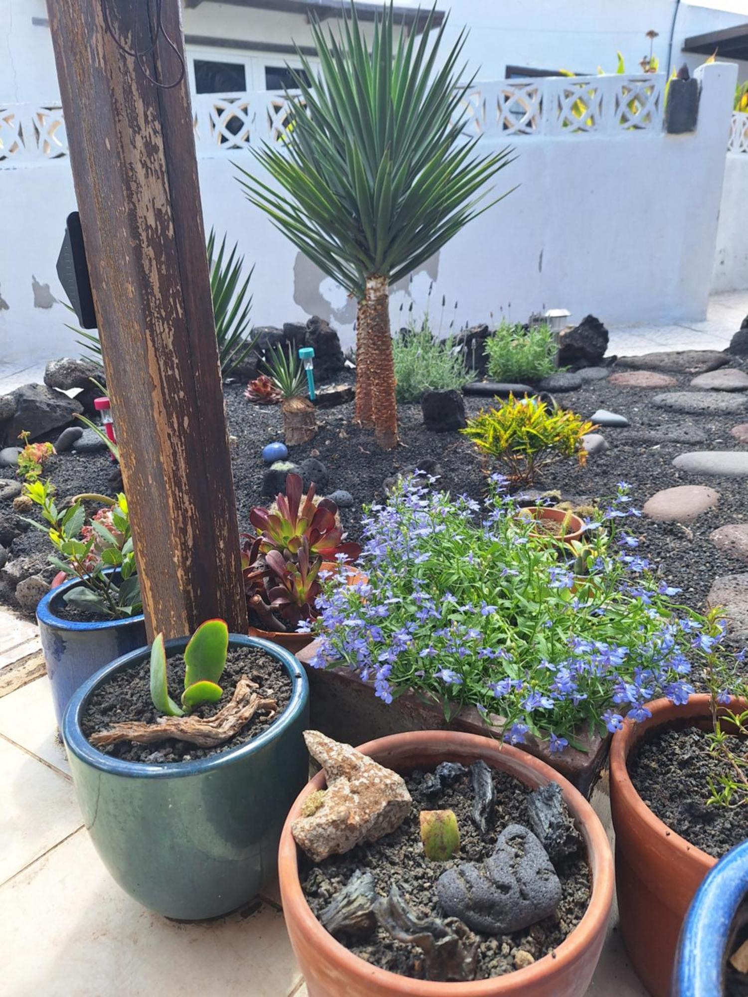 테기세 Casita Pequena Lanzarote 빌라 외부 사진